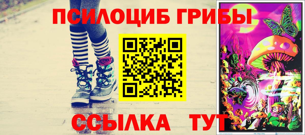 Псилоцибиновые грибы мухоморы  наркошоп  Чернушка  Вход с VPN 